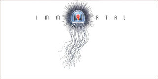 Immortal Slope Cabernet