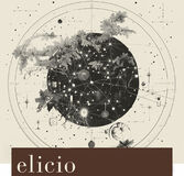 Elicio Rolle Blanc