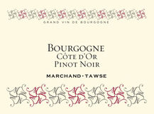 Marchand Tawse Bourgogne Pinot Noir