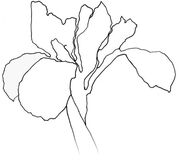 Continuum Sentium White