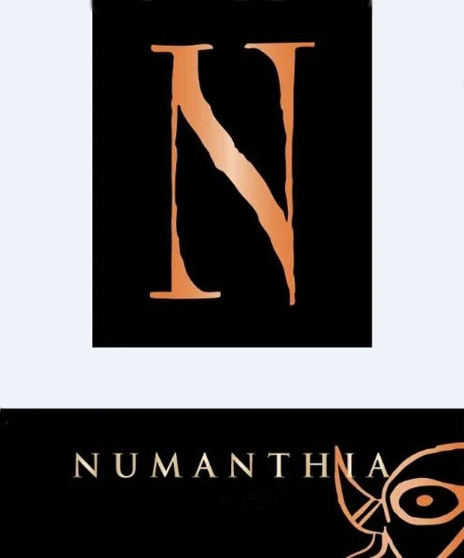 Bodegas Numanthia Toro