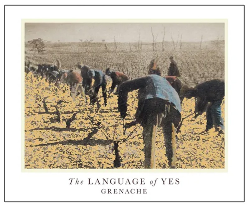 Language of Yes Grenache