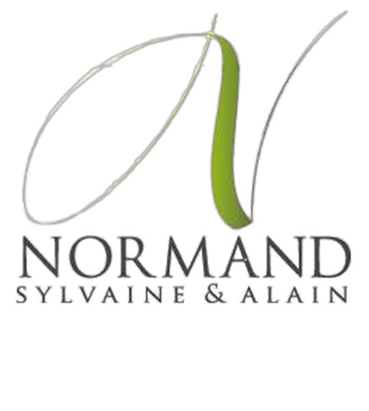 Sylvaine Alain Normand Bourgogne Chardonnay