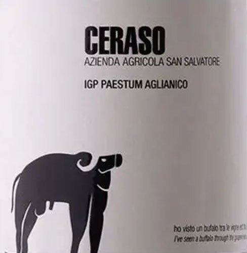 San Salvatore Aglianico Ceraso